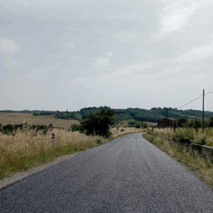 Masini Costruzioni asfalto